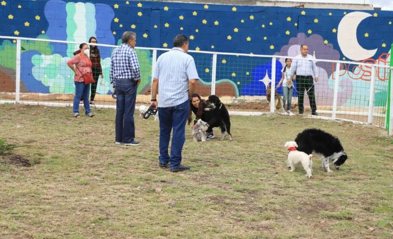Nuevo parque para mascotas