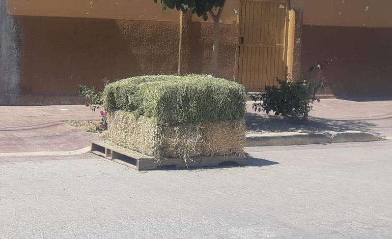 Subirán costos de los forrajes