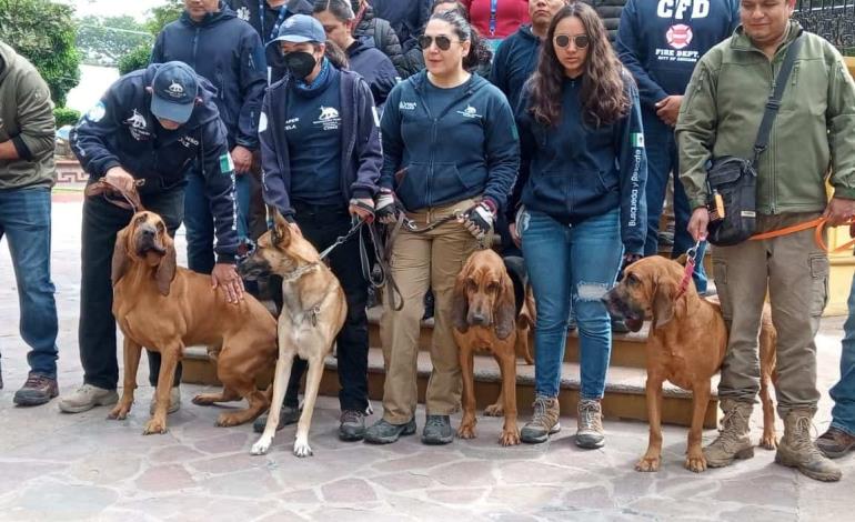 Simulacro de rescate con perros realizaron