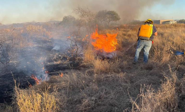 Los Bomberos y PC sofocaron incendios 