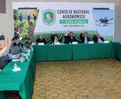 Consejo Nacional Agronómico presentó plan de acción 2025