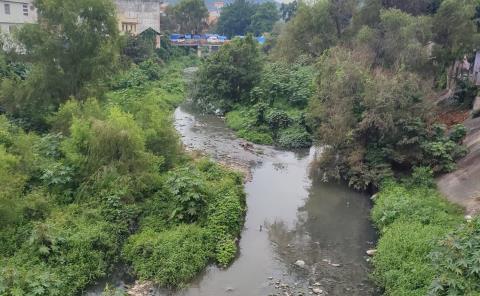 Habitantes no soportan el olor de las aguas negras

