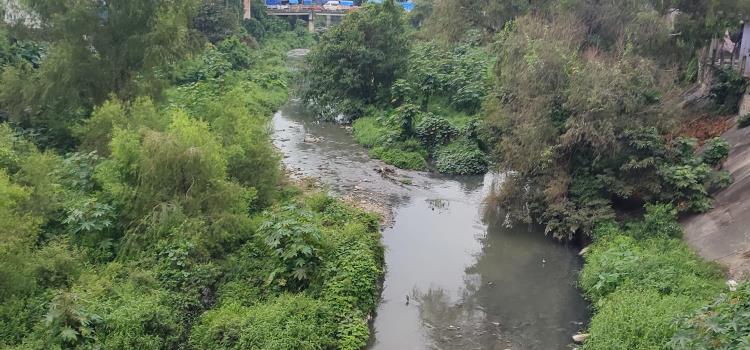 Habitantes no soportan el olor de las aguas negras