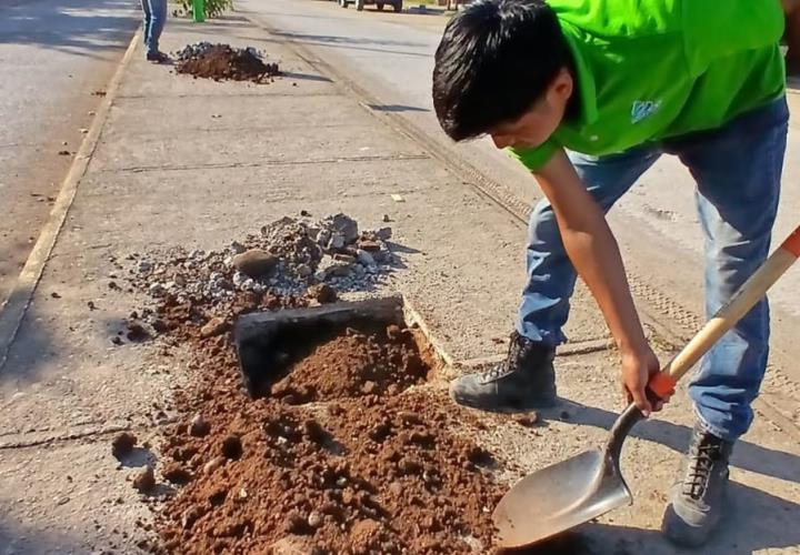 Continúa ECA reforestación en bulevar a la UDETA