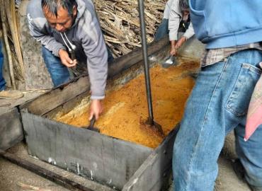 Habrá encuentro de piloncilleros
