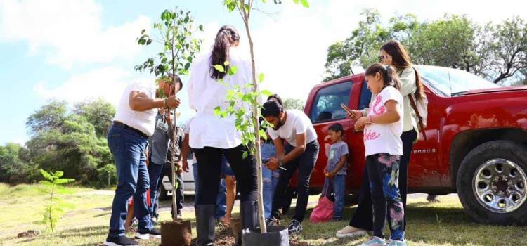 Arnulfo le apuesta a la reforestación Arnulfo le apuesta a la reforestación