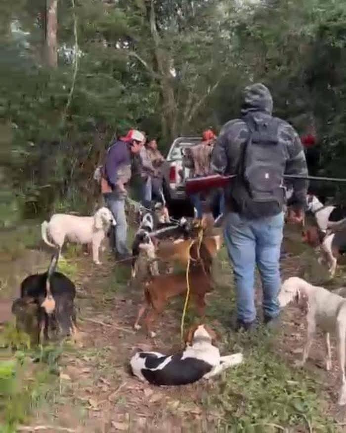 Cacería furtiva  sigue sin control