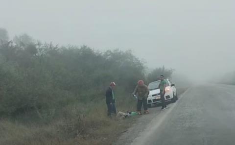 LESIONADA UNA MUJER       
