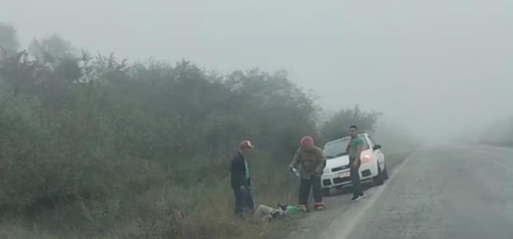 LESIONADA UNA MUJER       