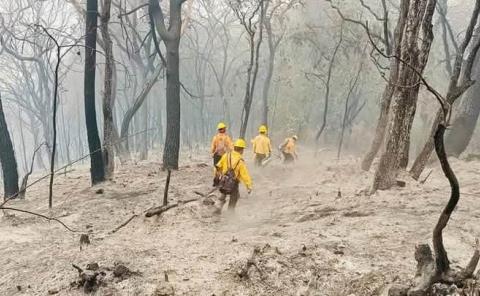 Claman a la población prevenir los incendios
