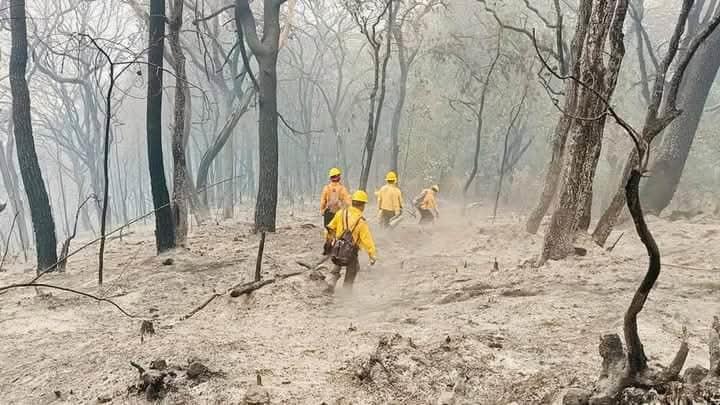 Claman a la población prevenir los incendios Claman a la población prevenir los incendios