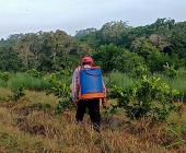 Agricultores sin recursos para trabajar la tierra 