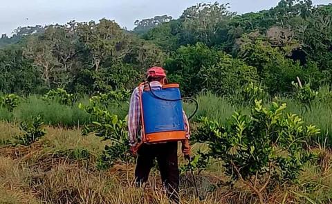 Agricultores sin recursos para trabajar la tierra 
