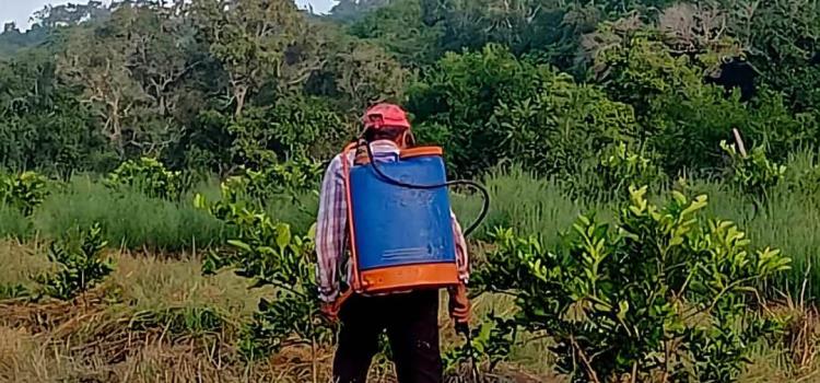 Agricultores sin recursos para trabajar la tierra 