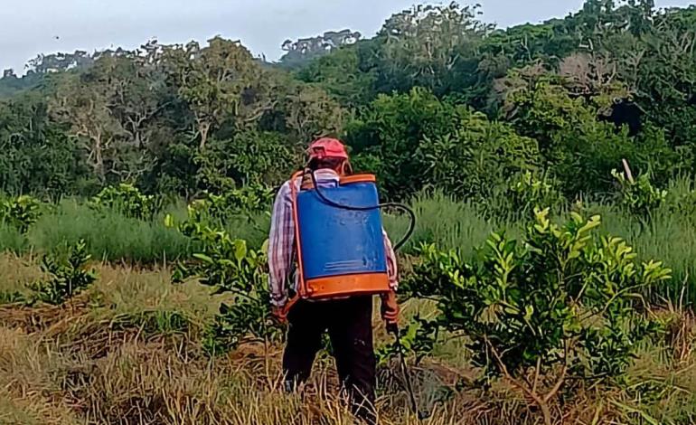 Agricultores sin recursos para trabajar la tierra 