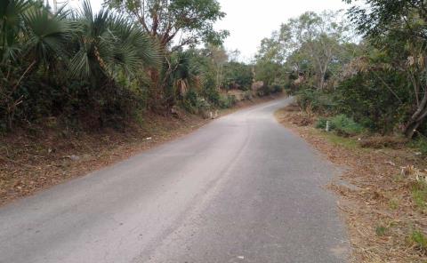 Realizaron limpieza en carretera