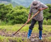 Afiliará IMSS a campesinos 