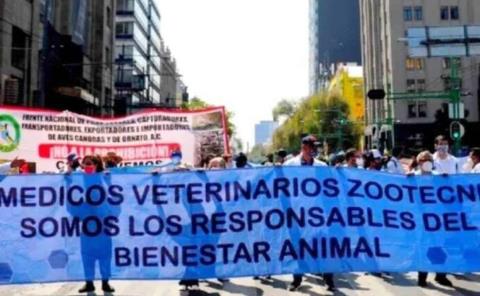 Veterinarios piden seguridad y justicia 
