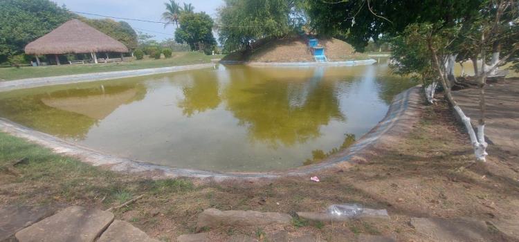 Zancudos aumentan en el parque ecológico 