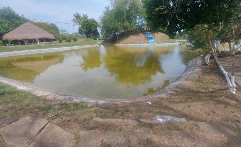 Zancudos aumentan en el parque ecológico 