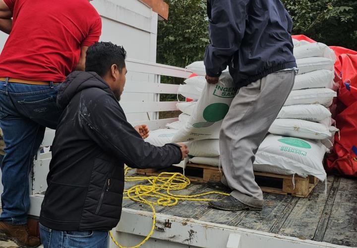 Apicultores fueron apoyados con azúcar