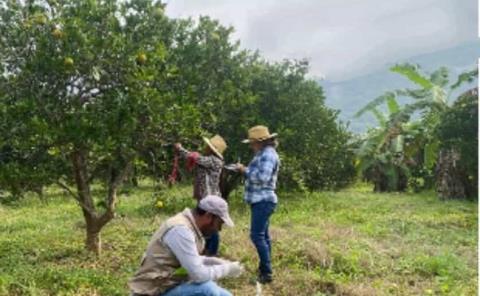 Cesaveh capacita a productores
