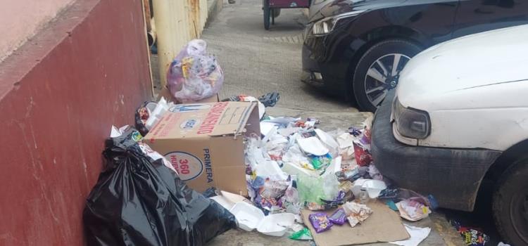 Exhortan colocar basura en bolsas 