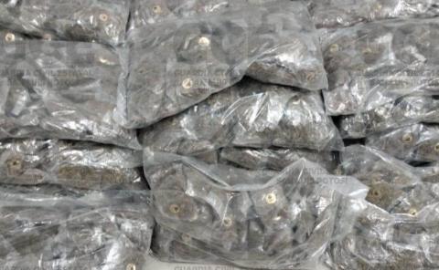 Decomisan cargamento de 40 Kilos de marihuana
 
