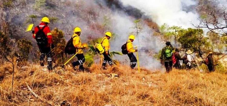Revisar protocolos contra los incendios de pastizal Revisar protocolos contra los incendios de pastizal