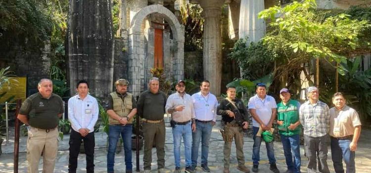 Refuerzan seguridad  en paseos turísticos 