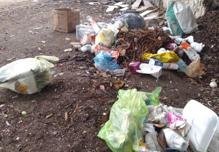 Sin control la recolección de basura en Matlapa