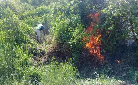 Piden sancionar a quienes realicen quemas forestales