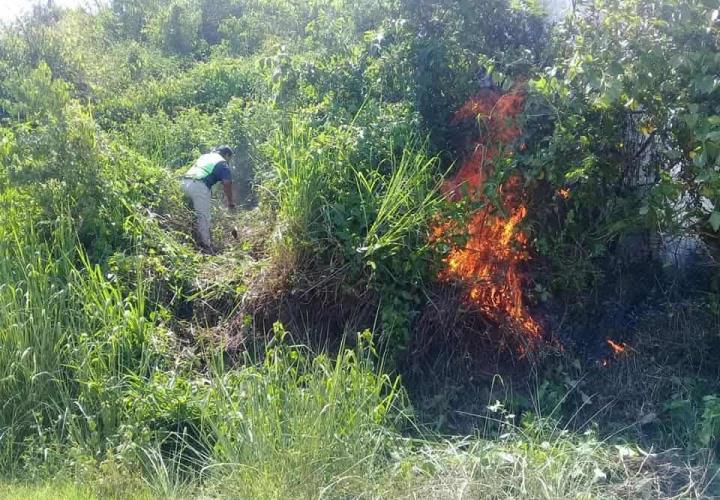 Piden sancionar a quienes realicen quemas forestales