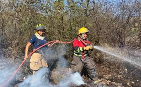 Incendios son provocados 
