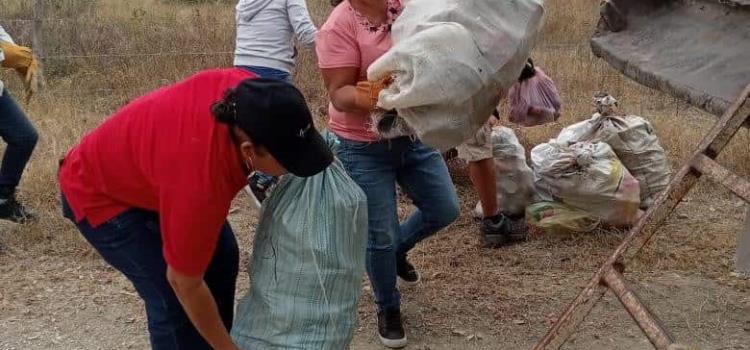 Suman esfuerzos  contra los zancudos 