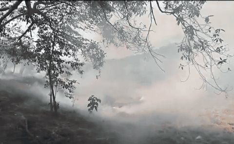 Movilización por incendio