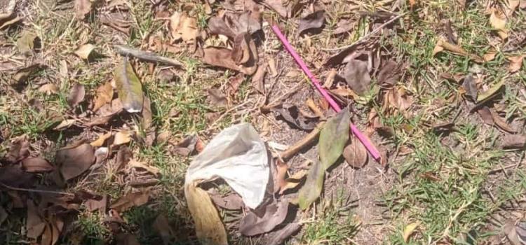 Vándalos se drogan en el jardín "Juárez" Vándalos se drogan en el jardín "Juárez"