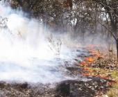 400 hectáreas devastadas por incendios    