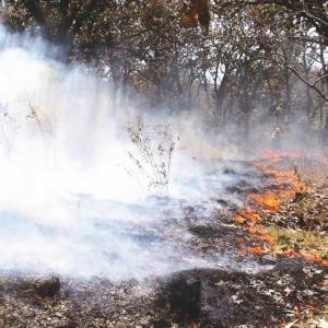 400 hectáreas devastadas por incendios    
