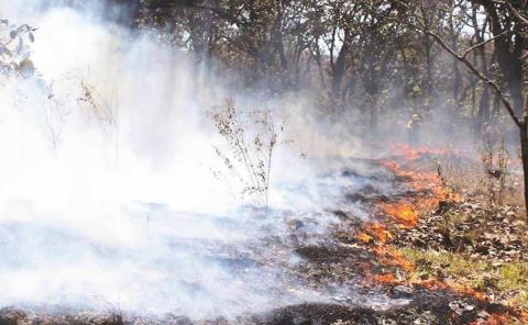 400 hectáreas devastadas por incendios    
