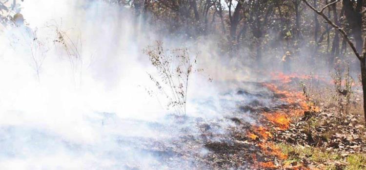 400 hectáreas devastadas por incendios    