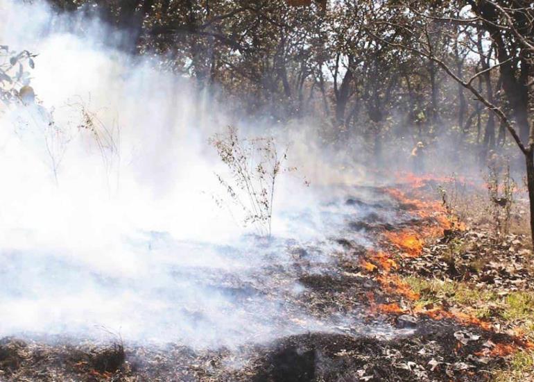 400 hectáreas devastadas por incendios    
