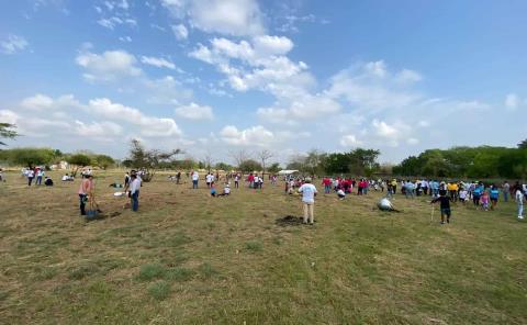 Reforestación masiva bajaría la temperatura
