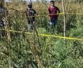 Tractorista mató a una pequeña               