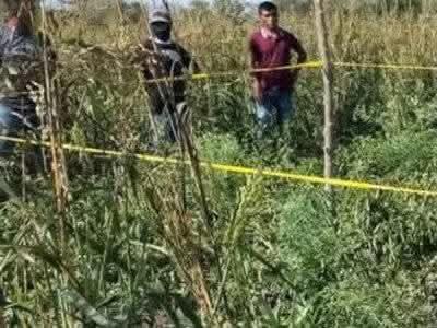 
Tractorista mató a una pequeña               
