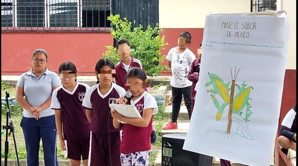 Promueven en niños siembra de maíz criollo