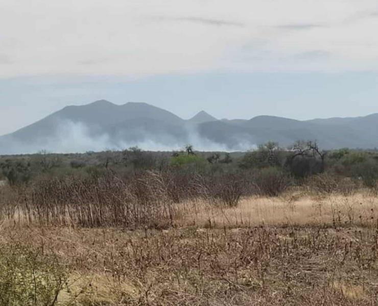 4 grandes incendios fueron los sofocados
