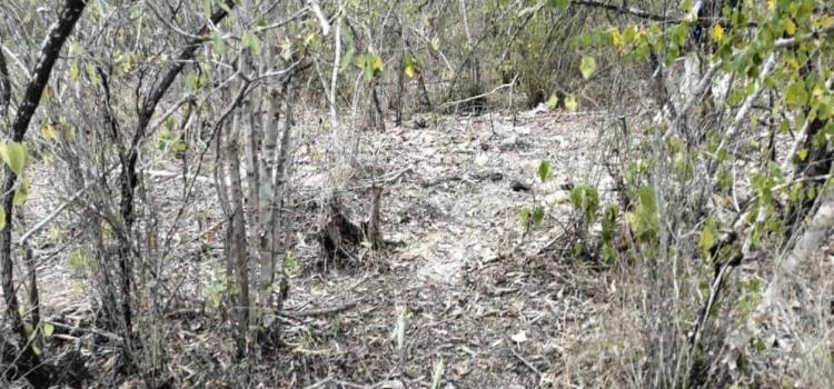 EN LA NARCOFOSA EL DESAPARECIDO EN LA NARCOFOSA EL DESAPARECIDO