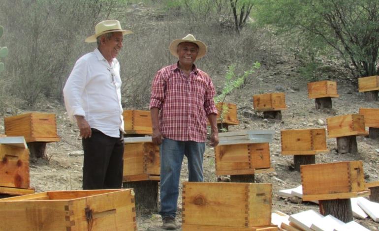 Primavera beneficiará a productores de miel
