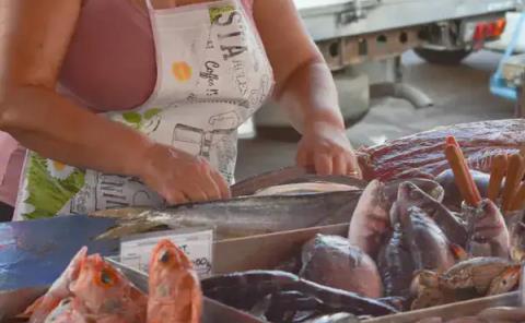 Venta de pescado no despunta en Cuaresma
